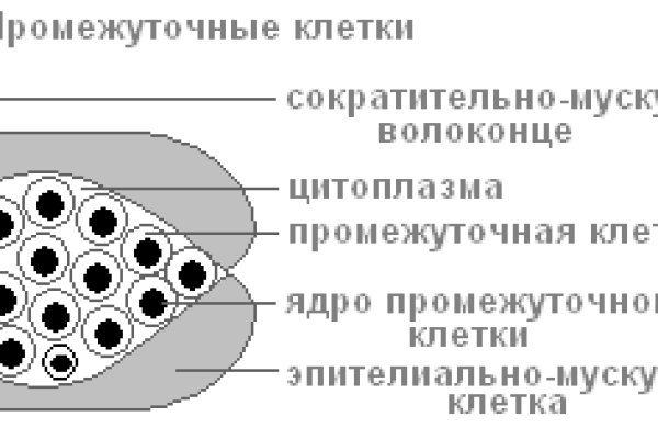 Кракен даркнет только через стор