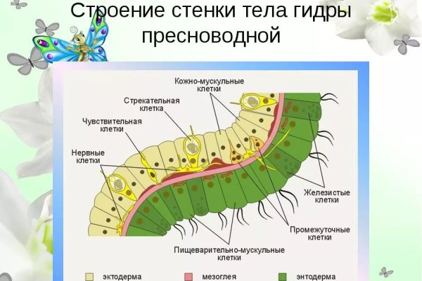 Кракен kr2web in