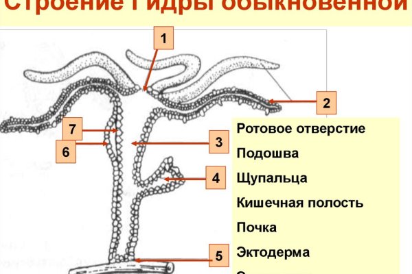 Что случилось с кракеном маркетплейс